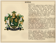 
Cargar imagen en el visor de la galería, Sample Last Name Origin PDF — The Byrne Family — dense Standard layout, coat of arms left, surname history right — Herald Lab SAMPLE