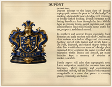 
Cargar imagen en el visor de la galería, Sample Last Name Origin PDF — The Dupont Family — dense Standard layout, coat of arms left, surname history right — Herald Lab SAMPLE