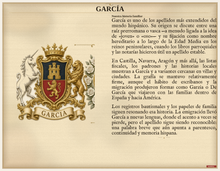 
Cargar imagen en el visor de la galería, Muestra PDF Estándar — Familia García: historia del apellido y escudo asociado (muestra Herald Lab)