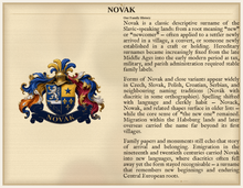 
Cargar imagen en el visor de la galería, Beispiel PDF Standard — Familie Novak: Nachnamensgeschichte und zugeordnetes Wappen (Beispiel Herald Lab)