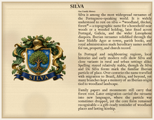 
Cargar imagen en el visor de la galería, Sample Last Name Origin PDF — The Silva Family — dense Standard layout, coat of arms left, surname history right — Herald Lab SAMPLE